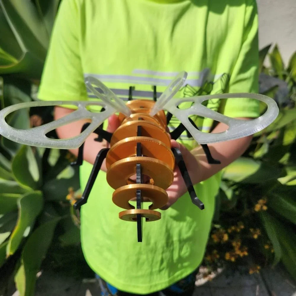Bee Model Honeybee 3D Puzzle Honey Bees Classroom Science STEM Craft Insect Bugs